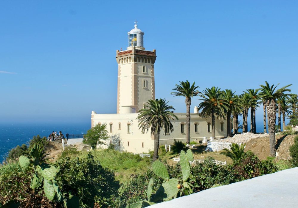 pexels-pole-oluline-357825046-15767314